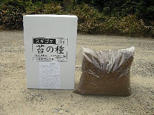 杉苔