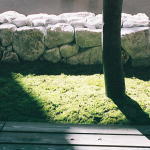 石灰岩と苔の庭
