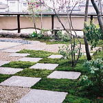 土塀と市松模様の庭