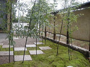 日本庭園　土塀と苔の庭