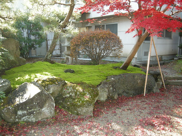 日本庭園　カモジ苔
